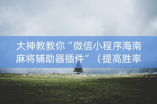 大神教教你“微信小程序海南麻将辅助器插件”（提高胜率技巧)