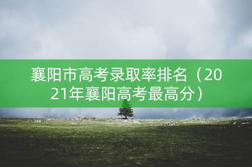 襄阳市高考录取率排名（2021年襄阳高考最高分）