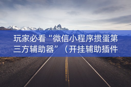 玩家必看“微信小程序掼蛋第三方辅助器”（开挂辅助插件)