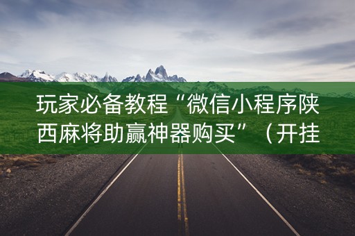 玩家必备教程“微信小程序陕西麻将助赢神器购买”（开挂辅助脚本)