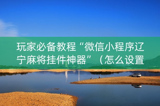 玩家必备教程“微信小程序辽宁麻将挂件神器”（怎么设置能有好牌)