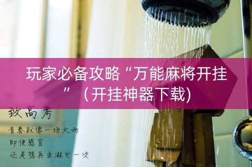 玩家必备攻略“万能麻将开挂”（开挂神器下载)