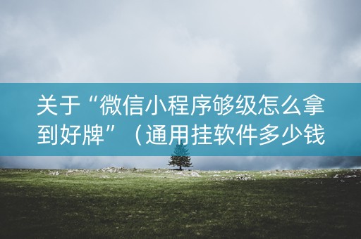 关于“微信小程序够级怎么拿到好牌”（通用挂软件多少钱)