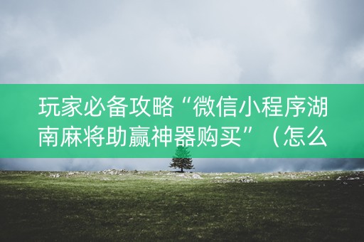 玩家必备攻略“微信小程序湖南麻将助赢神器购买”（怎么让系统给自己好牌)