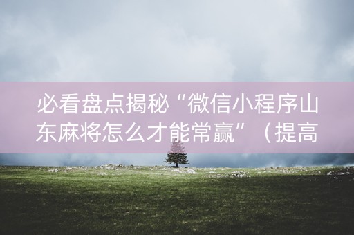 必看盘点揭秘“微信小程序山东麻将怎么才能常赢”（提高胜率软件)