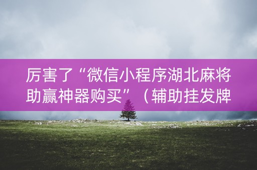 厉害了“微信小程序湖北麻将助赢神器购买”（辅助挂发牌规律)