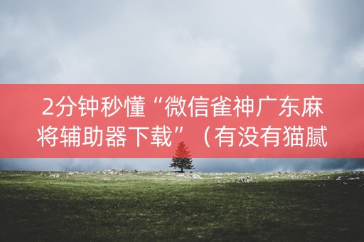 2分钟秒懂“微信雀神广东麻将辅助器下载”（有没有猫腻)