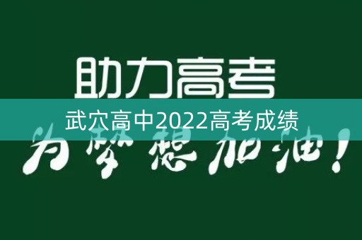 武穴高中2022高考成绩