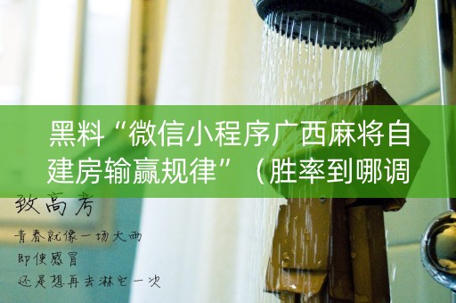 黑料“微信小程序广西麻将自建房输赢规律”（胜率到哪调)