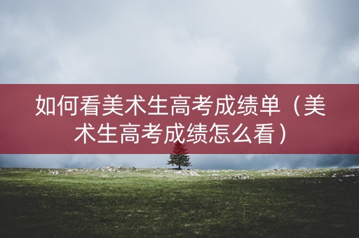 如何看美术生高考成绩单（美术生高考成绩怎么看）
