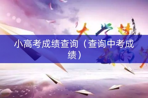 小高考成绩查询（查询中考成绩）