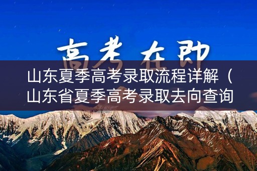 山东夏季高考录取流程详解（山东省夏季高考录取去向查询）