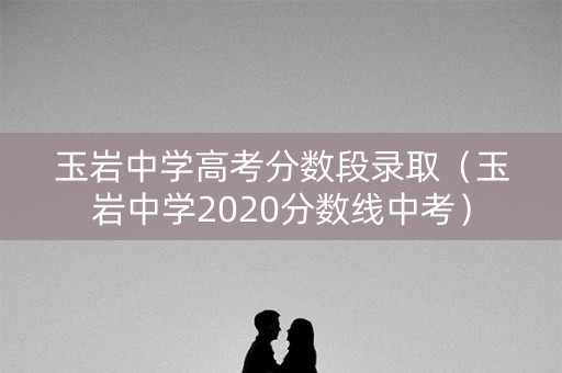 玉岩中学高考分数段录取（玉岩中学2020分数线中考）