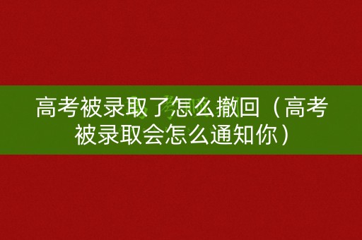 高考被录取了怎么撤回（高考被录取会怎么通知你）