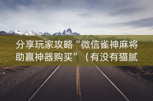 分享玩家攻略“微信雀神麻将助赢神器购买”（有没有猫腻)