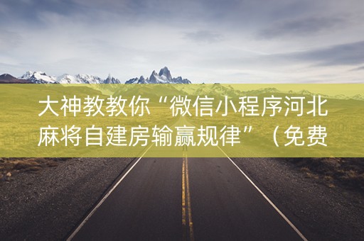 大神教教你“微信小程序河北麻将自建房输赢规律”（免费专用神器)