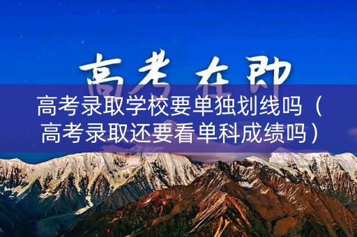 高考录取学校要单独划线吗（高考录取还要看单科成绩吗）