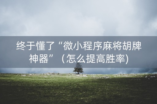 终于懂了“微小程序麻将胡牌神器”（怎么提高胜率)
