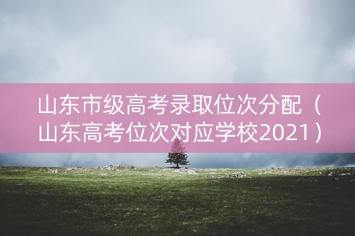 山东市级高考录取位次分配（山东高考位次对应学校2021）