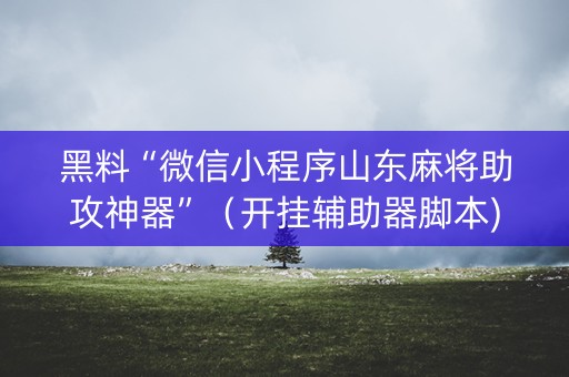 黑料“微信小程序山东麻将助攻神器”（开挂辅助器脚本)
