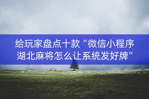 给玩家盘点十款“微信小程序湖北麻将怎么让系统发好牌”（辅助器插件)