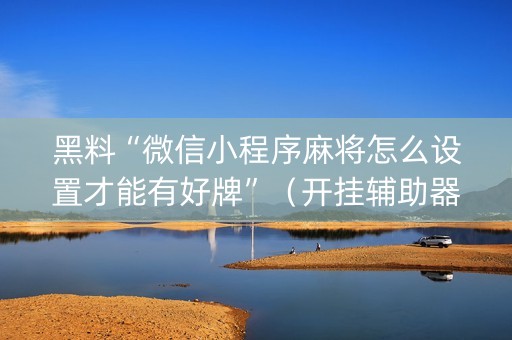 黑料“微信小程序麻将怎么设置才能有好牌”（开挂辅助器插件)