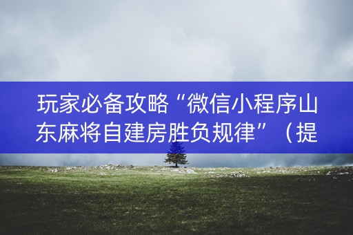 玩家必备攻略“微信小程序山东麻将自建房胜负规律”（提高胜率技巧)