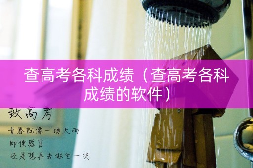 查高考各科成绩（查高考各科成绩的软件）