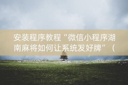 安装程序教程“微信小程序湖南麻将如何让系统发好牌”（外辅工具)