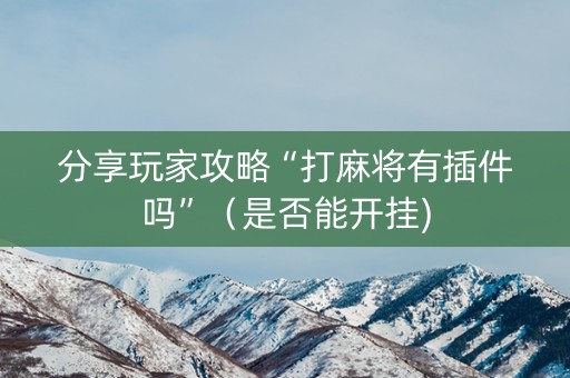 分享玩家攻略“打麻将有插件吗”（是否能开挂)
