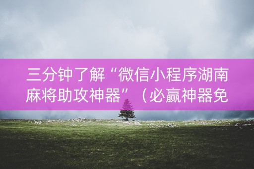 三分钟了解“微信小程序湖南麻将助攻神器”（必赢神器免费安装)