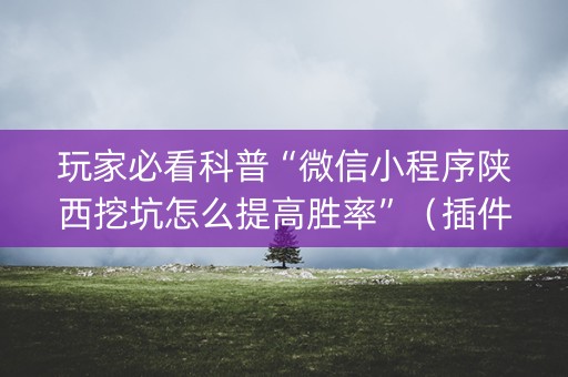 玩家必看科普“微信小程序陕西挖坑怎么提高胜率”（插件可信吗)