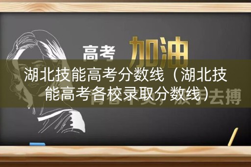 湖北技能高考分数线（湖北技能高考各校录取分数线）