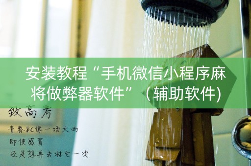 安装教程“手机微信小程序麻将做弊器软件”（辅助软件)