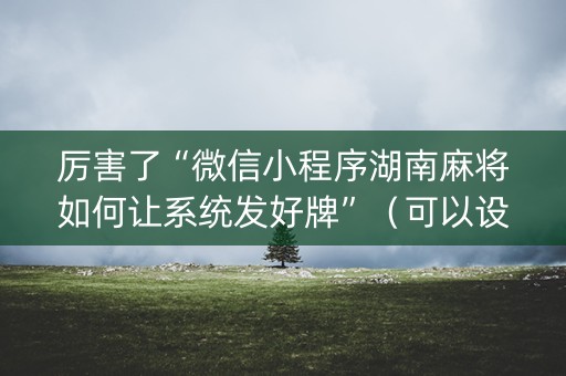 厉害了“微信小程序湖南麻将如何让系统发好牌”（可以设置输赢吗)