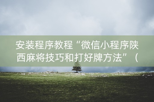 安装程序教程“微信小程序陕西麻将技巧和打好牌方法”（辅助器下载)