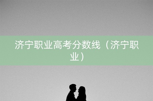 济宁职业高考分数线（济宁职业）