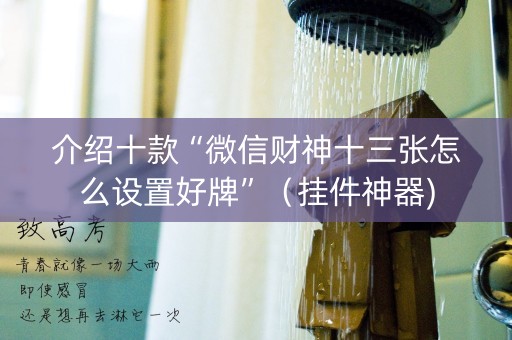 介绍十款“微信财神十三张怎么设置好牌”（挂件神器)