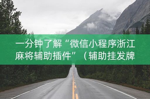 一分钟了解“微信小程序浙江麻将辅助插件”（辅助挂发牌规律)