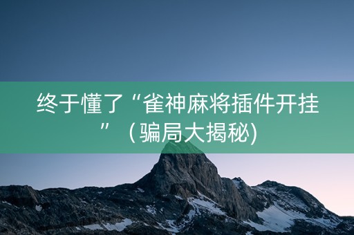 终于懂了“雀神麻将插件开挂”（骗局大揭秘)