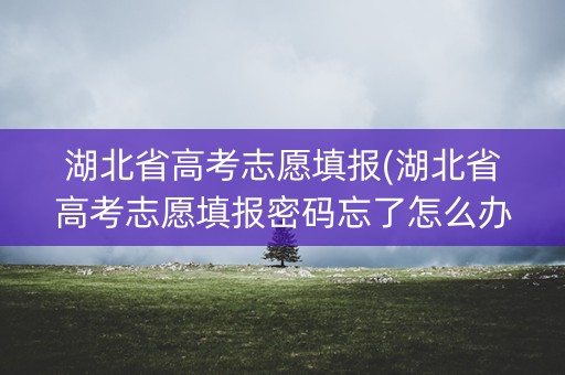 湖北省高考志愿填报(湖北省高考志愿填报密码忘了怎么办)
