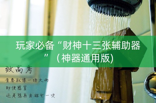 玩家必备“财神十三张辅助器”（神器通用版)