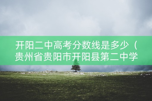 开阳二中高考分数线是多少（贵州省贵阳市开阳县第二中学）