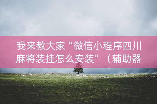 我来教大家“微信小程序四川麻将装挂怎么安装”（辅助器通用版)