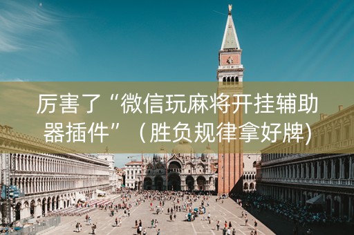 厉害了“微信玩麻将开挂辅助器插件”（胜负规律拿好牌)