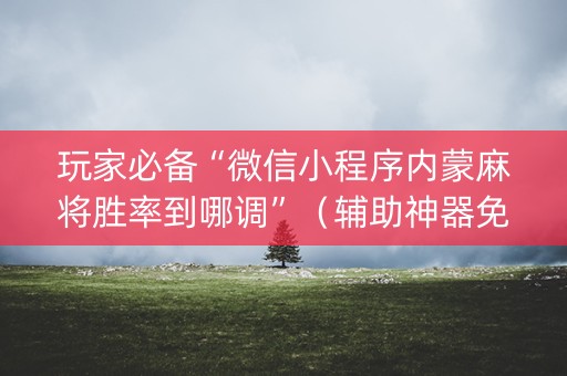 玩家必备“微信小程序内蒙麻将胜率到哪调”（辅助神器免费)
