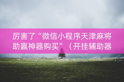 厉害了“微信小程序天津麻将助赢神器购买”（开挂辅助器插件)