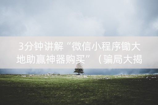 3分钟讲解“微信小程序锄大地助赢神器购买”（骗局大揭秘)