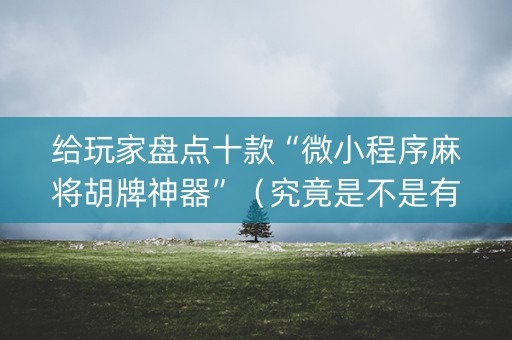 给玩家盘点十款“微小程序麻将胡牌神器”（究竟是不是有挂)