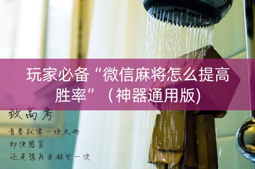 玩家必备“微信麻将怎么提高胜率”（神器通用版)